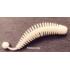 Слаг "Fishclone Ribbed slug" СЫР 68мм (белый) (6шт в упак.)